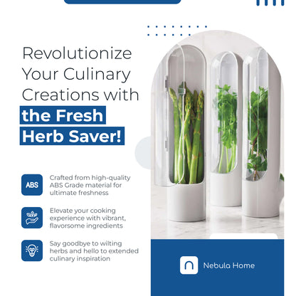 Fresh Herb Saver: Extend Herb Life with Ease!